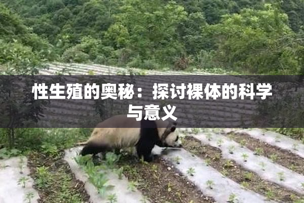 性生殖的奥秘：探讨裸体的科学与意义