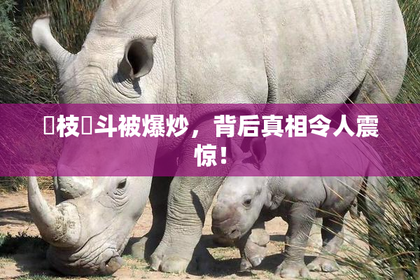 狛枝凪斗被爆炒，背后真相令人震惊！
