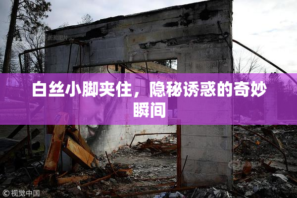 白丝小脚夹住，隐秘诱惑的奇妙瞬间