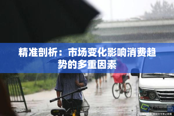 精准剖析：市场变化影响消费趋势的多重因素