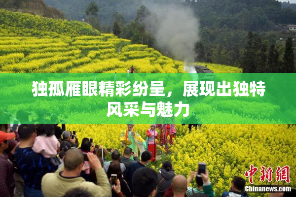 独孤雁眼精彩纷呈，展现出独特风采与魅力