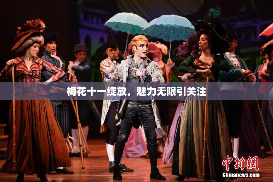 梅花十一绽放，魅力无限引关注