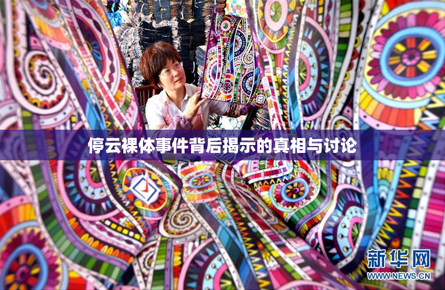 停云裸体事件背后揭示的真相与讨论