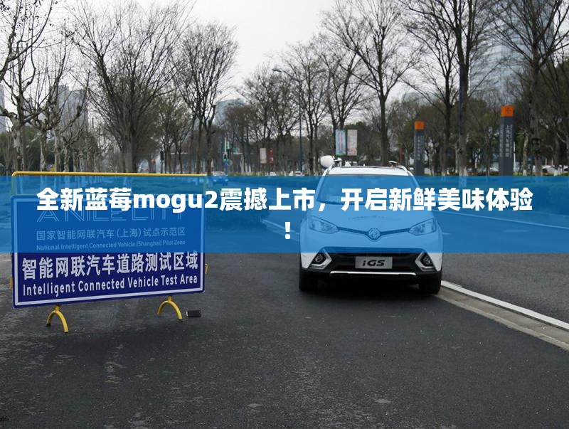全新蓝莓mogu2震撼上市，开启新鲜美味体验！