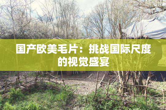 国产欧美毛片：挑战国际尺度的视觉盛宴