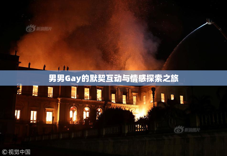 男男Gay的默契互动与情感探索之旅