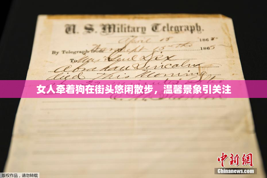 女人牵着狗在街头悠闲散步，温馨景象引关注