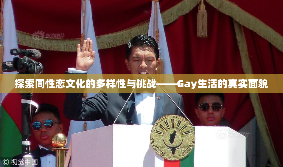 探索同性恋文化的多样性与挑战——Gay生活的真实面貌