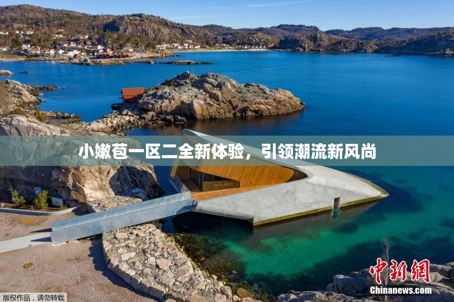 小嫩苞一区二全新体验，引领潮流新风尚