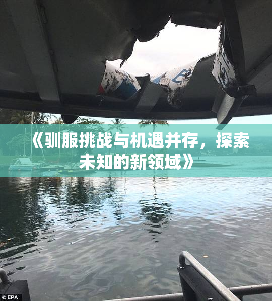 《驯服挑战与机遇并存，探索未知的新领域》