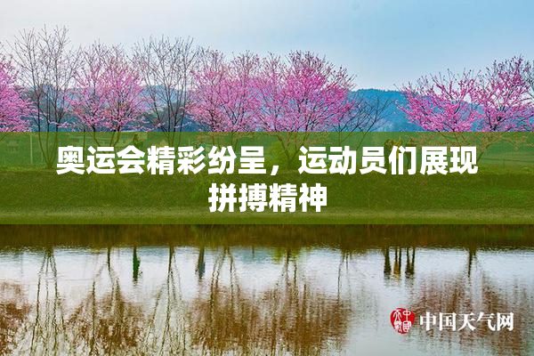 奥运会精彩纷呈，运动员们展现拼搏精神