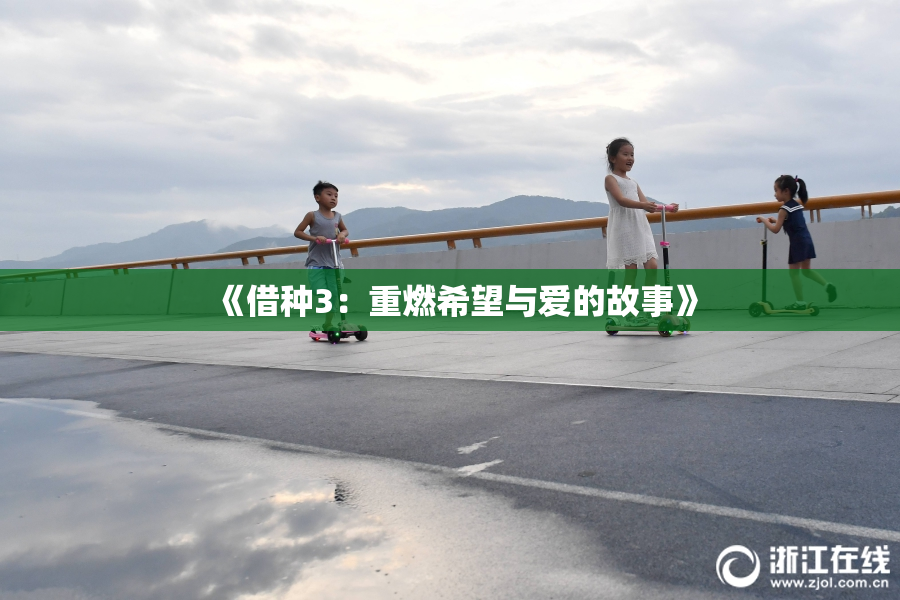 《借种3：重燃希望与爱的故事》