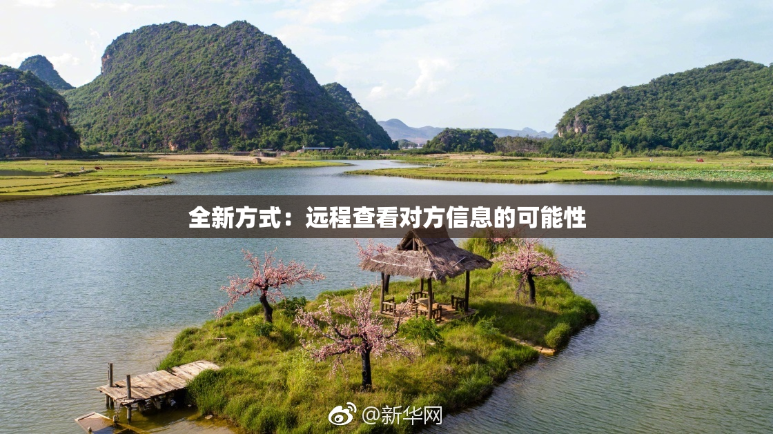全新方式：远程查看对方信息的可能性