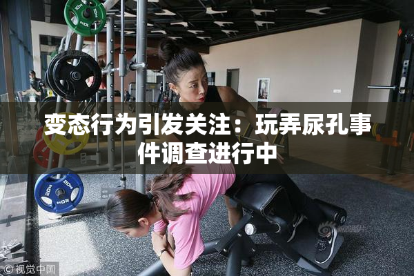变态行为引发关注：玩弄尿孔事件调查进行中