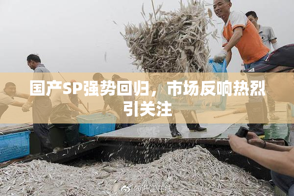 国产SP强势回归，市场反响热烈引关注