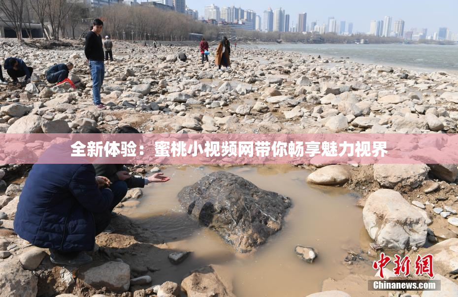 全新体验：蜜桃小视频网带你畅享魅力视界