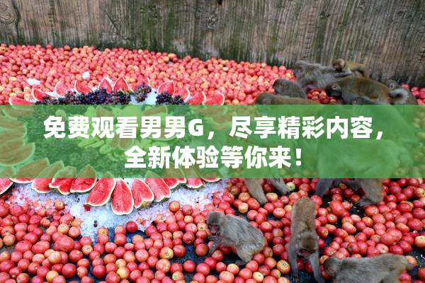 免费观看男男G，尽享精彩内容，全新体验等你来！