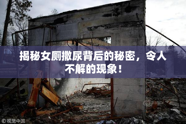 揭秘女厕撒尿背后的秘密，令人不解的现象！