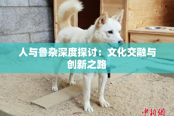 人与鲁杂深度探讨：文化交融与创新之路