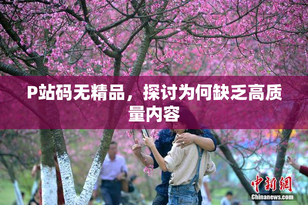 P站码无精品，探讨为何缺乏高质量内容