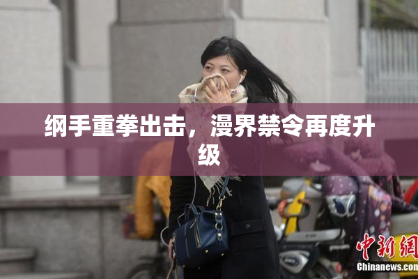 纲手重拳出击，漫界禁令再度升级