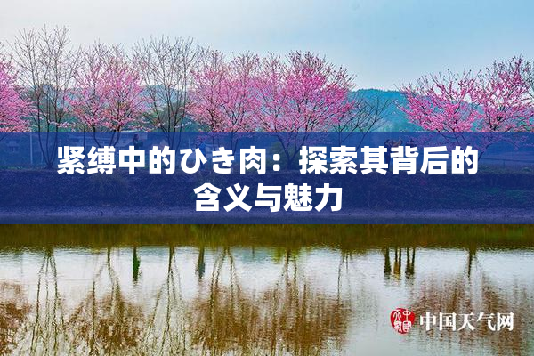 紧缚中的ひき肉：探索其背后的含义与魅力