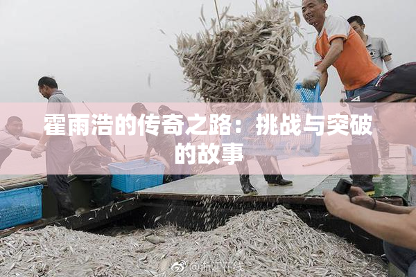 霍雨浩的传奇之路：挑战与突破的故事