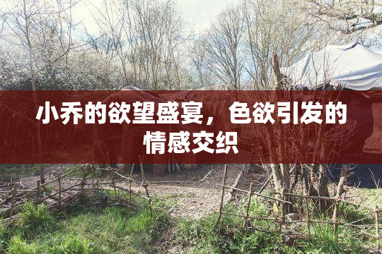 小乔的欲望盛宴，色欲引发的情感交织