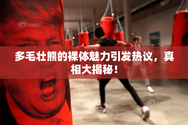 多毛壮熊的裸体魅力引发热议，真相大揭秘！