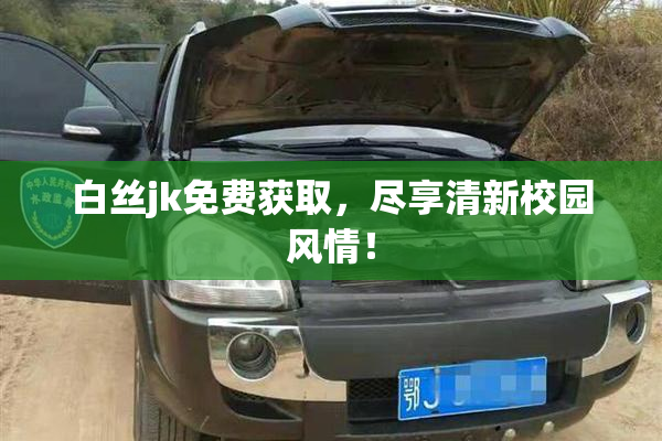白丝jk免费获取，尽享清新校园风情！