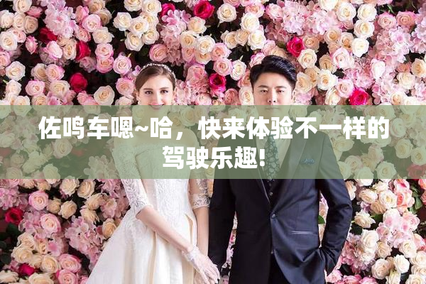 佐鸣车嗯~哈，快来体验不一样的驾驶乐趣!