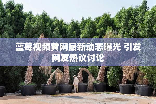 蓝莓视频黄网最新动态曝光 引发网友热议讨论