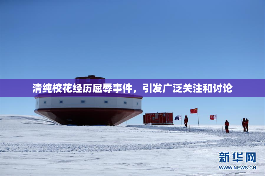清纯校花经历屈辱事件，引发广泛关注和讨论