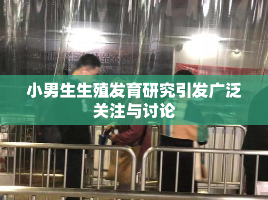 小男生生殖发育研究引发广泛关注与讨论