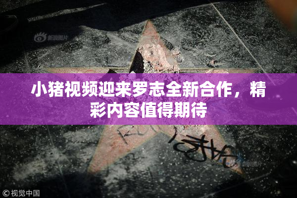 小猪视频迎来罗志全新合作，精彩内容值得期待
