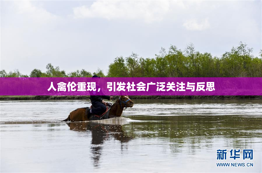 人禽伦重现，引发社会广泛关注与反思