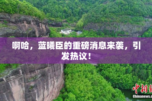 啊哈，蓝曦臣的重磅消息来袭，引发热议！