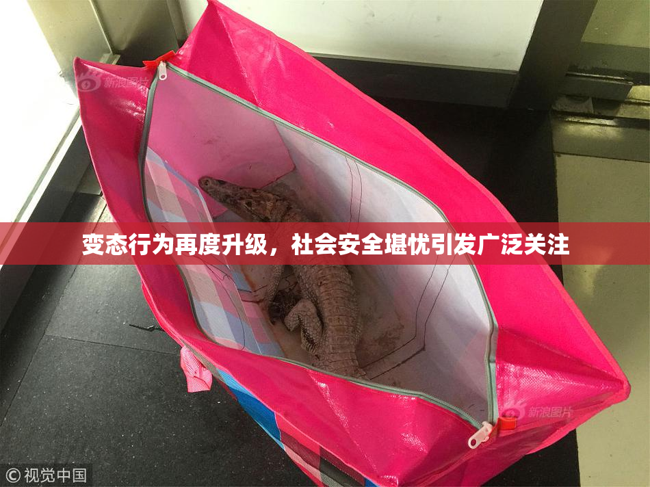 变态行为再度升级，社会安全堪忧引发广泛关注