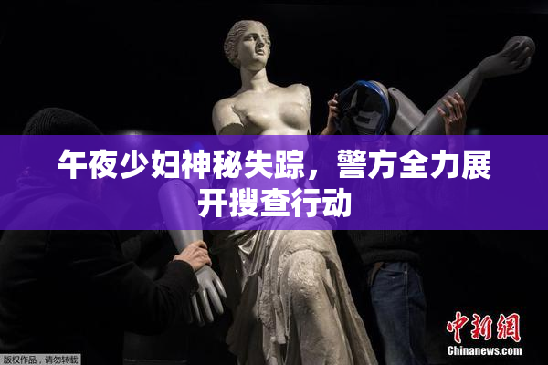 午夜少妇神秘失踪，警方全力展开搜查行动