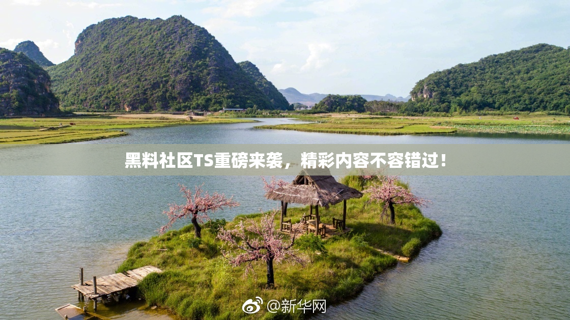 黑料社区TS重磅来袭，精彩内容不容错过！