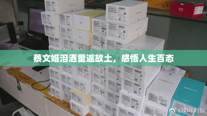 蔡文姬泪洒重返故土，感悟人生百态