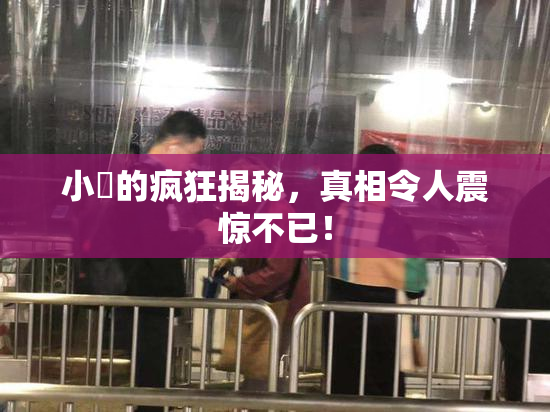 小泬的疯狂揭秘，真相令人震惊不已！