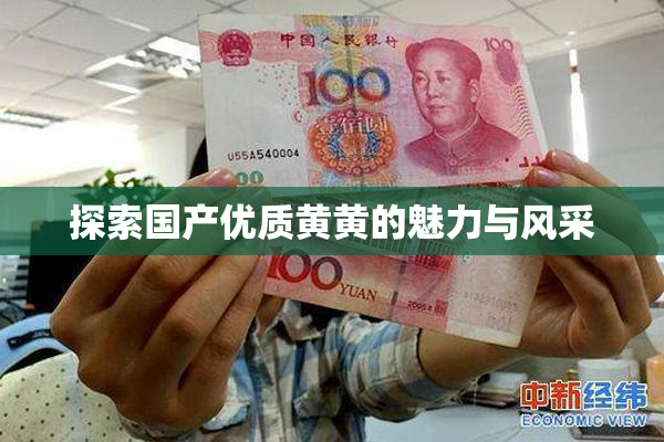 探索国产优质黄黄的魅力与风采
