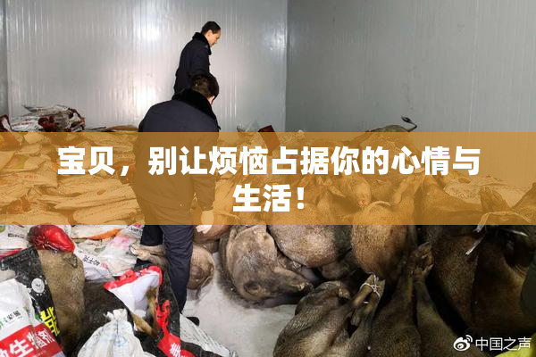宝贝，别让烦恼占据你的心情与生活！