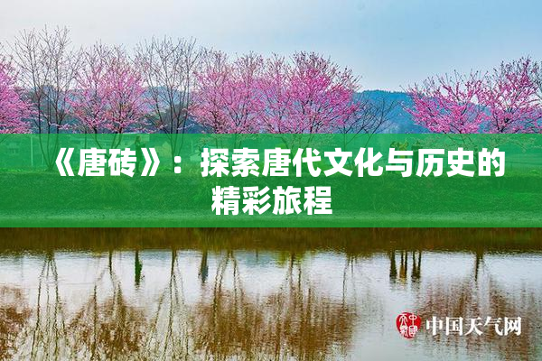 《唐砖》：探索唐代文化与历史的精彩旅程