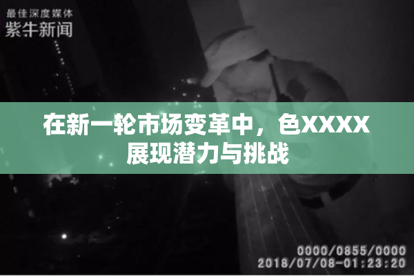 在新一轮市场变革中，色XXXX展现潜力与挑战