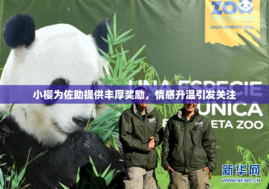 小樱为佐助提供丰厚奖励，情感升温引发关注