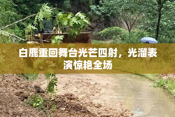 白鹿重回舞台光芒四射，光溜表演惊艳全场