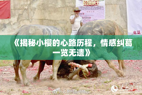 《揭秘小樱的心路历程，情感纠葛一览无遗》