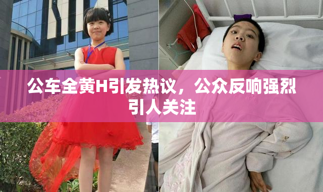 公车全黄H引发热议，公众反响强烈引人关注